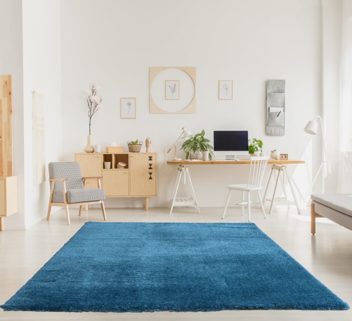 Plush Rug Blue